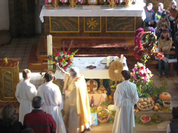 ED_2008 008
